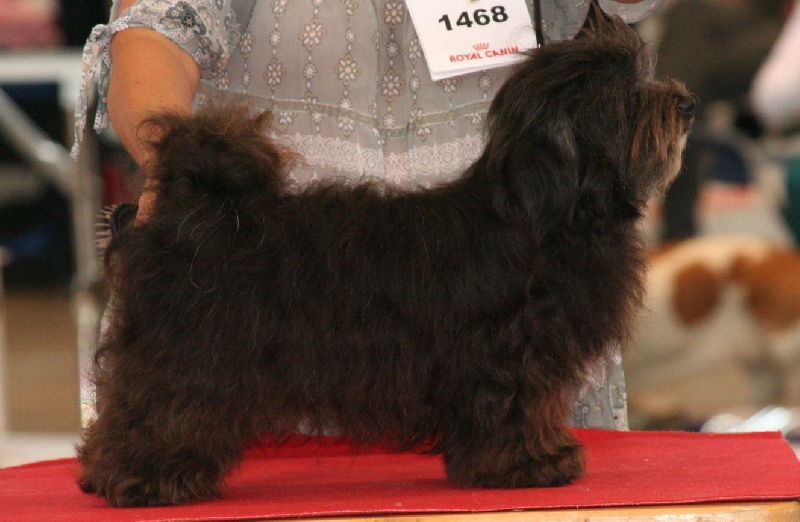 Feeling de la Tour de Senlis