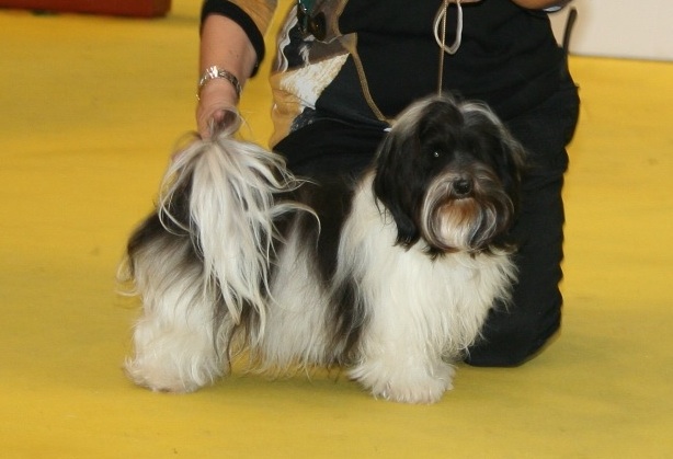 CH. Huesca de la Tour de Senlis